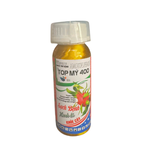 top-my-400