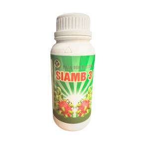 siamb-3